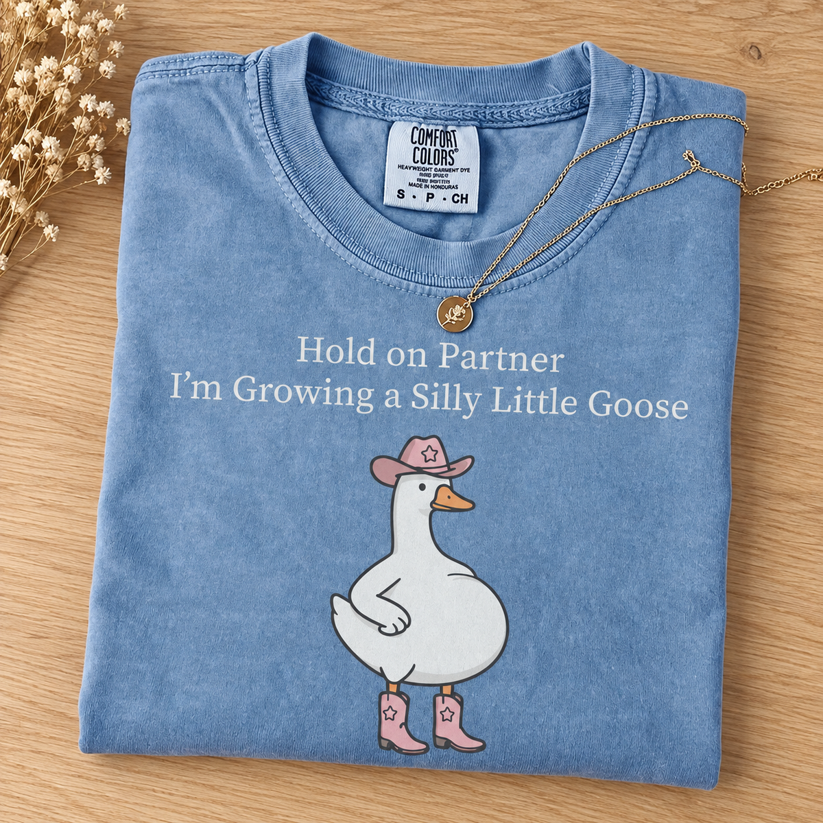 Pregnancy Announcement Silly Goose Shirt, Funny Western Baby Reveal Tee, First Time Expecting Mom Gift